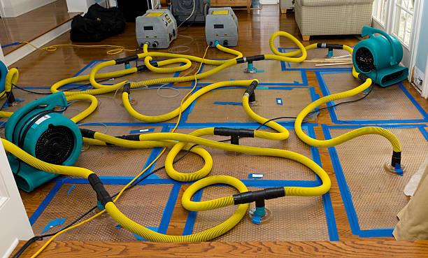Professional Water Damage Restoration technician working in Bunceton, MO
