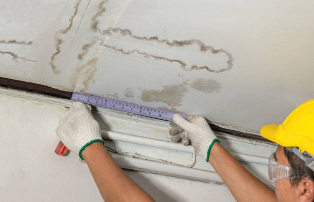 Affordable Water Damage Repair solutions in Bunceton, MO